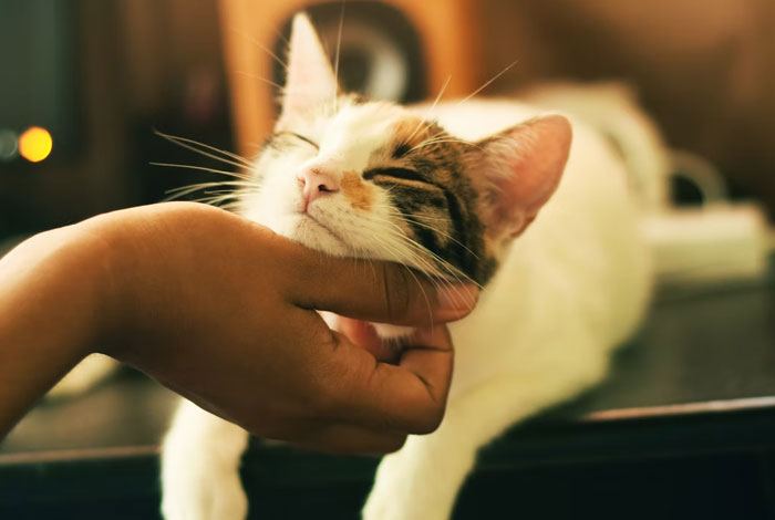 20 Personas comparten sus peores entrevistas de trabajo, y son muy entretenidas