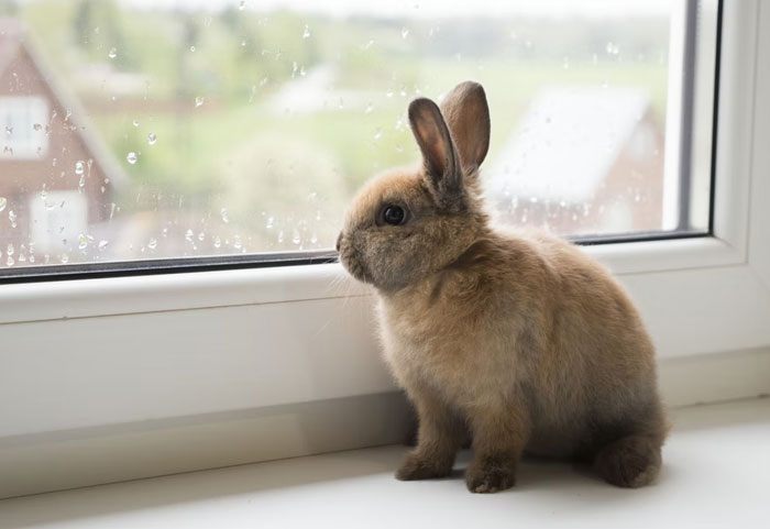 Someone Asks People To Share Stories About What The "Worst Roommate Ever" Did To Earn Their Title, 30 Deliver