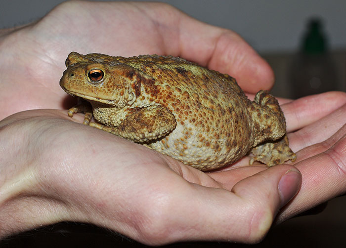 Someone Asks People To Share Stories About What The "Worst Roommate Ever" Did To Earn Their Title, 30 Deliver