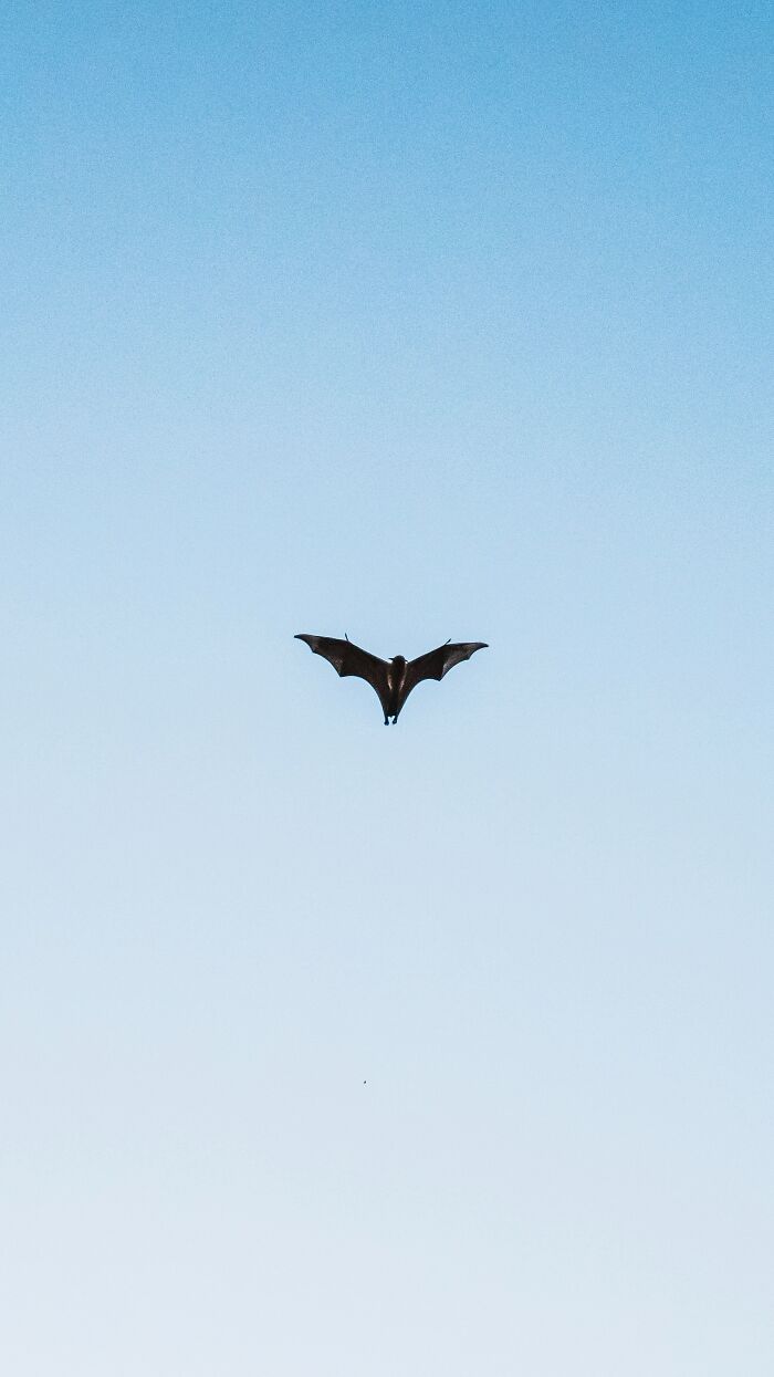 Hotel Workers Are Revealing 30 Disgusting, Bizarre And Shocking Things They've Discovered In Guests' Rooms