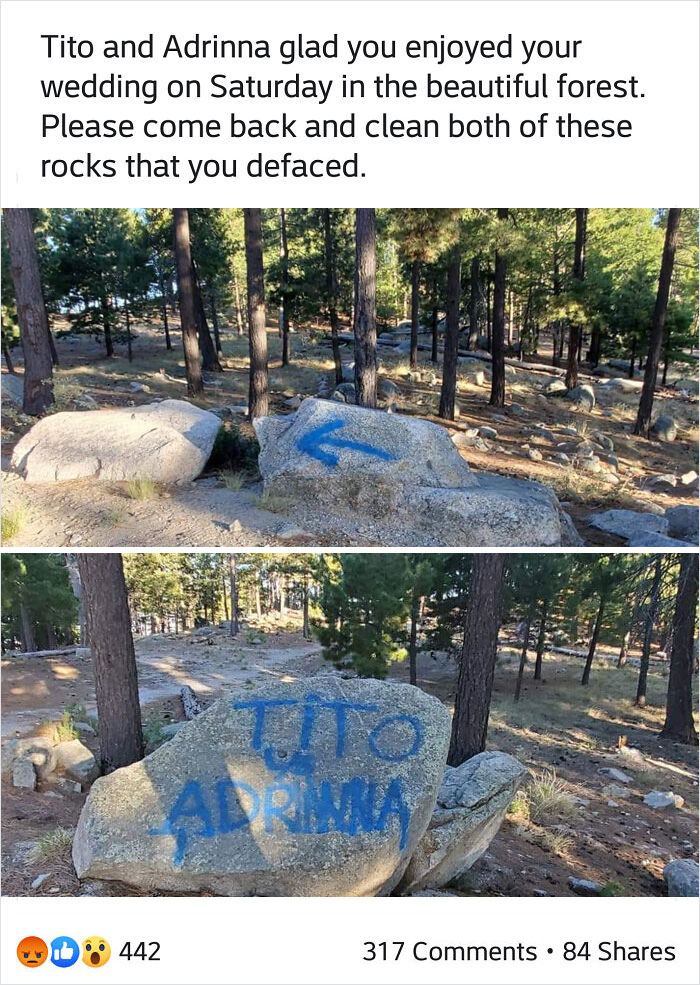 Imagine Having Your Wedding In A National Forest, Then Vandalizing Said Forest