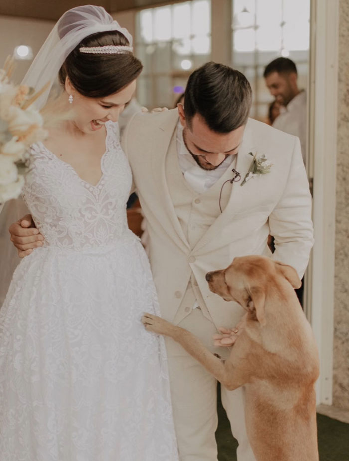 This Stray Dog "Invaded" A Wedding And Ended Up Being Adopted By The Newlyweds