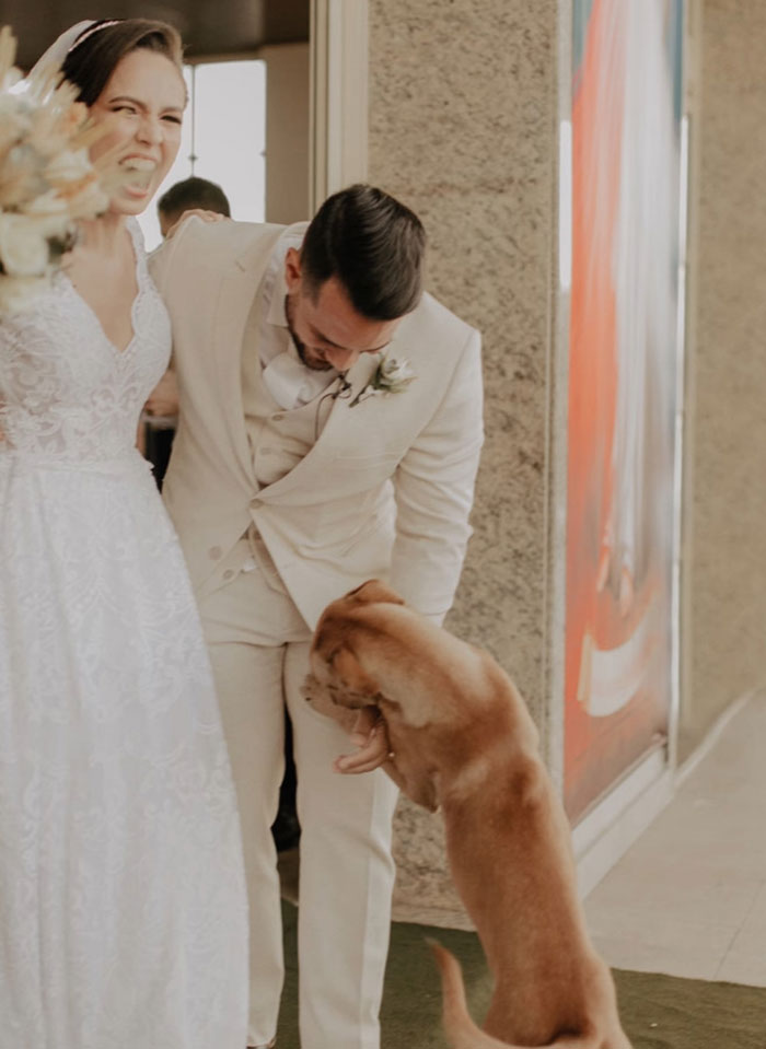 This Stray Dog "Invaded" A Wedding And Ended Up Being Adopted By The Newlyweds