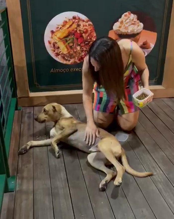 This Stray Dog "Invaded" A Wedding And Ended Up Being Adopted By The Newlyweds