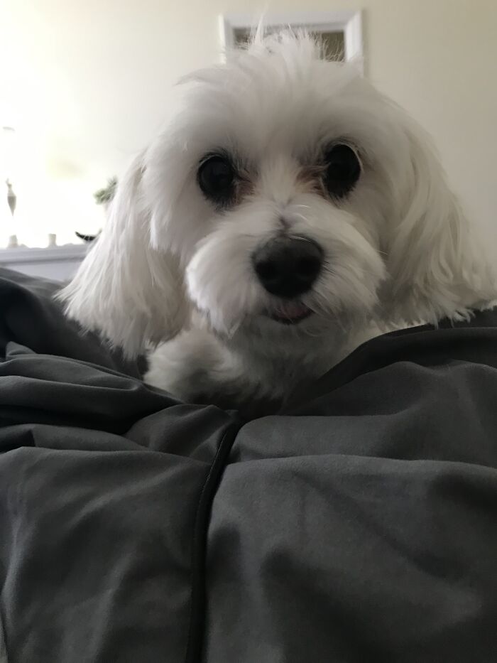 My Little Stalker. Always Checking To Make Sure I’m Ok