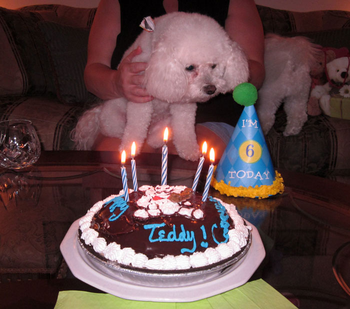 Woman Asks Folks Online If She&rsquo;s A Jerk For Taking The Cake She Baked For Her Fiance And Leaving His B-Day Party After His Mom Stole Her Thunder