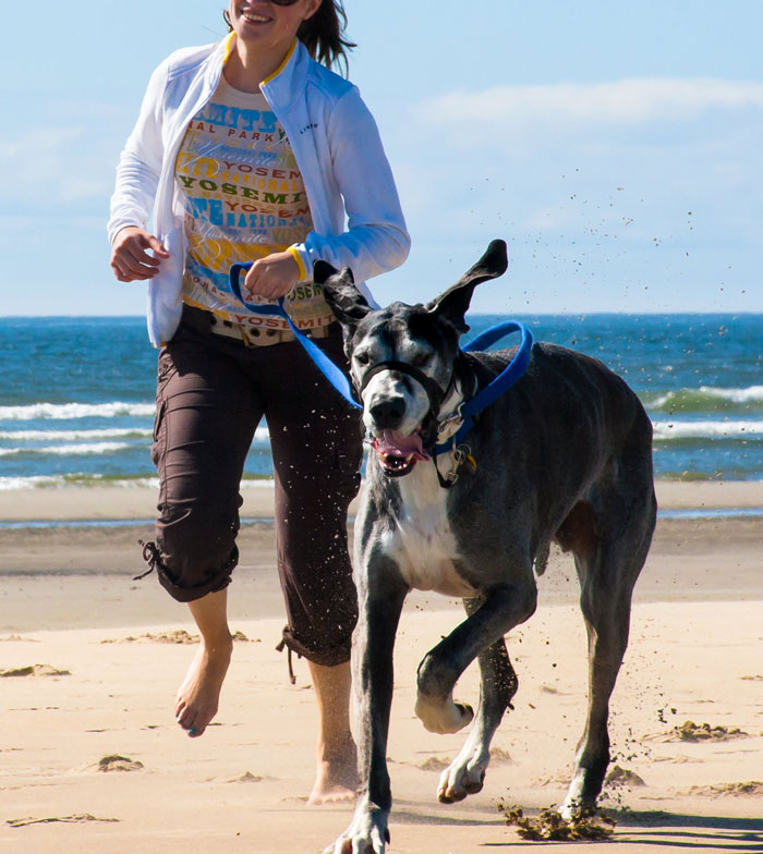 Woman Drops $4,000 For Pet-Free Family Vacation, SIL Tries To Sneak Her Dog Into Airbnb, Woman Cancels And Leaves SIL Stranded - 1