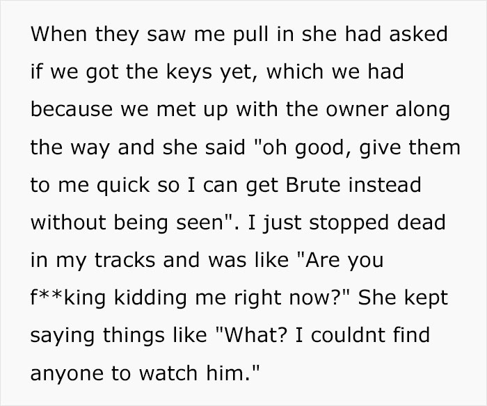 Woman Drops $4,000 For Pet-Free Family Vacation, SIL Tries To Sneak Her Dog Into Airbnb, Woman Cancels And Leaves SIL Stranded - 4