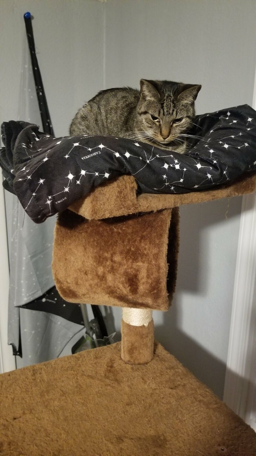 Dad Makes A Cat Bed For His Daughter's Feline From An Old TV, And It Hasn't Gone Unnoticed On The Socials