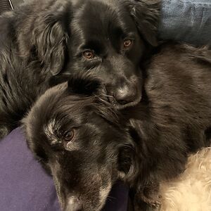 ruby_russoniello avatar