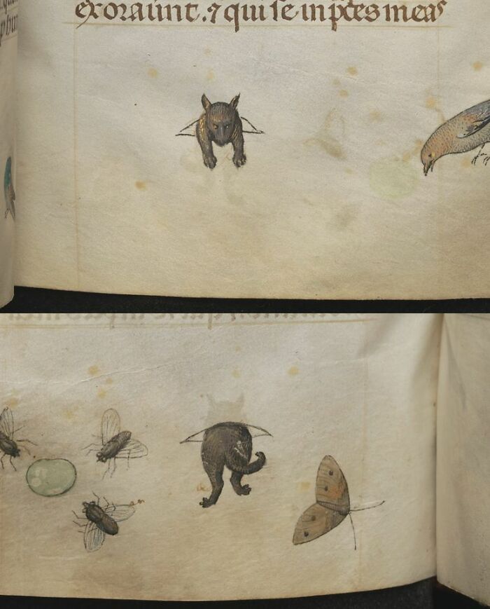 Out And In Book Of Hours, Flanders C. 1485 Kraków, Mnk 3025 I, P. 469-470