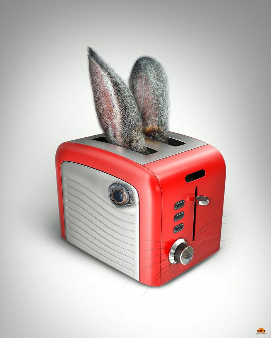 Animals Beyond Fairytale: I Make Bizarre Image Manipulations (21 Pics)