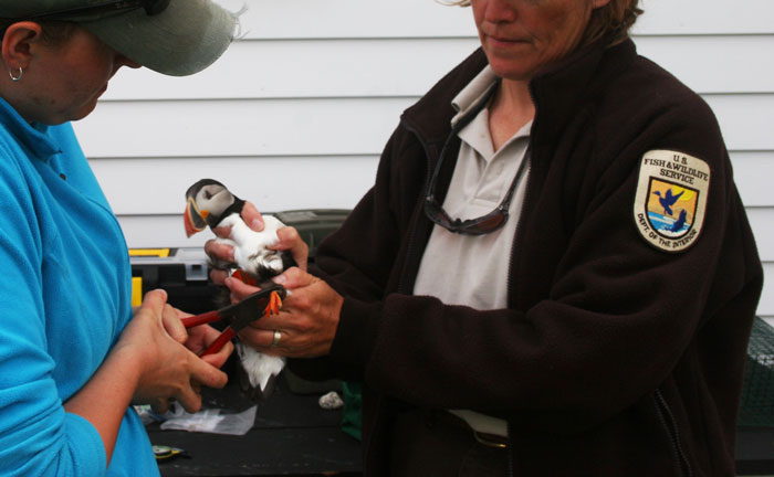 Person Asks: "Which Profession Is Criminally Underpaid?" And 30 People Online Deliver