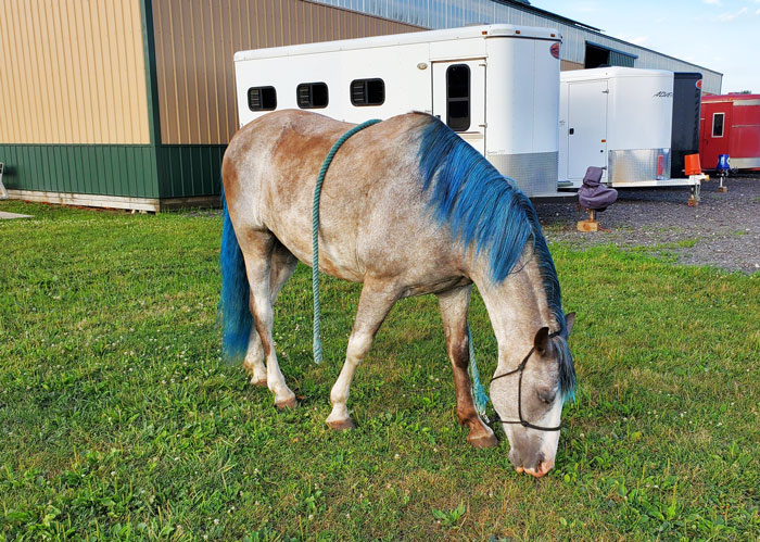 I Decided That Gus And I Should Match Hair Color