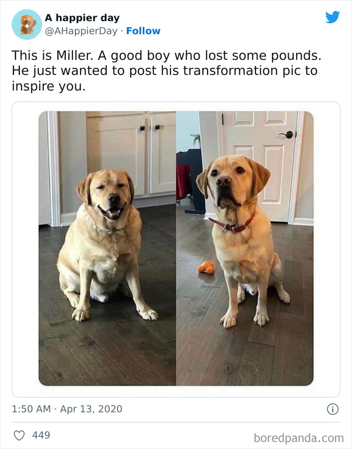 The Best Of The Boys