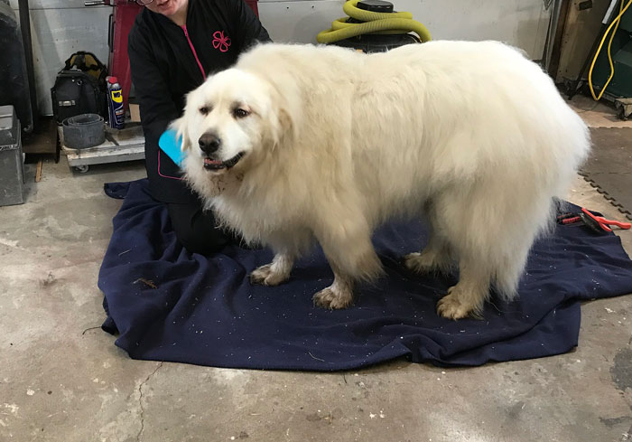 16 Señales de alarma en candidatos que fueron ignoradas en las entrevistas de trabajo y que acabaron causando problemas
