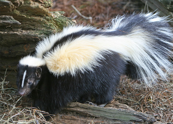 People Share 30 Things That People Who Are Having A Secret Affair Do That Immediately Give Them Away - 11