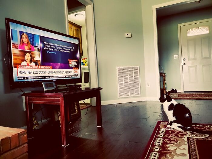 Person Asks A Question "What Modern Trend Do You Absolutely Hate?", And 30 People Online Deliver