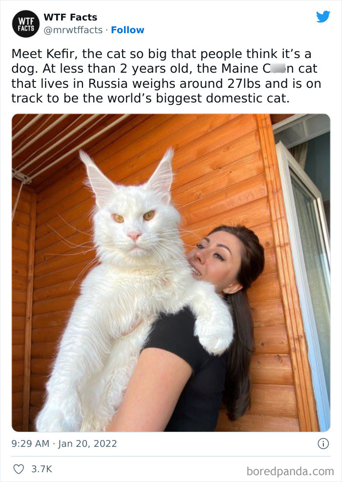 Daily-Weird-Interesting-History-Facts