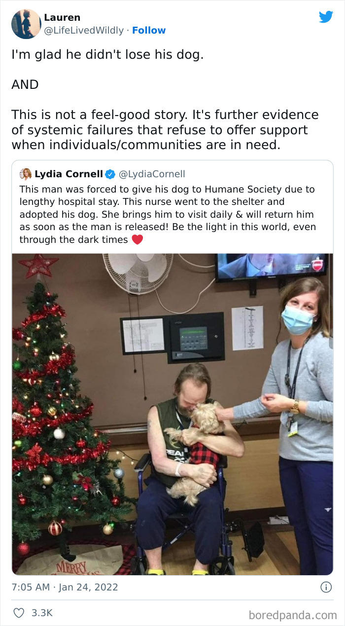 Heartwarming-Headlines-Dystopia-World