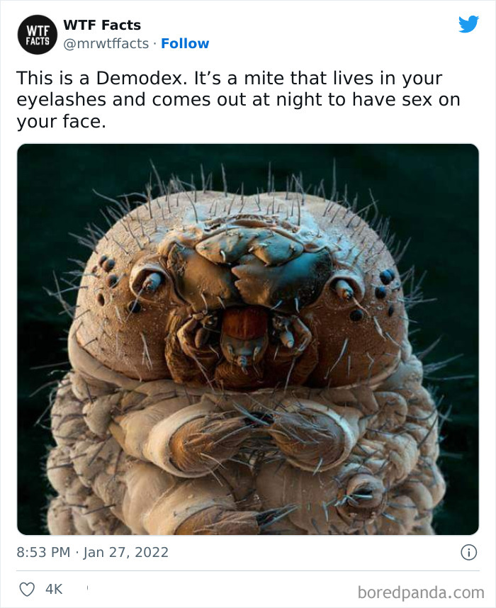 Daily-Weird-Interesting-History-Facts