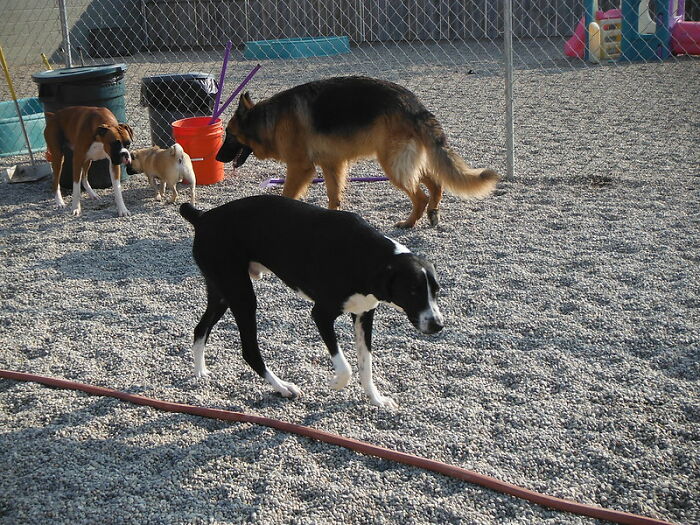 People Are Revealing Everyday Things They Had To Cut Back On Due To Rising Inflation, Here Are 30 Of The Saddest And Most Honest Answers