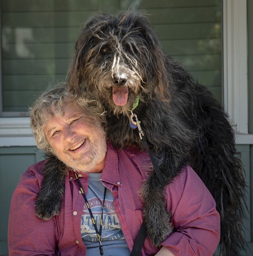 The 26 Finalists Of The 'Animal Friends Comedy Pet Photo Awards' Contest Have Been Announced