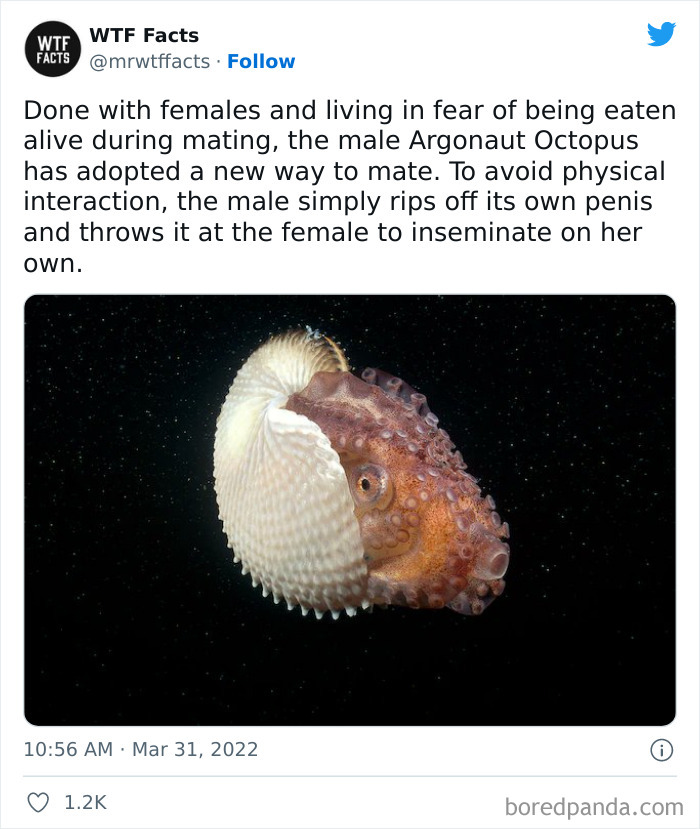 Daily-Weird-Interesting-History-Facts