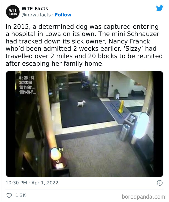 Daily-Weird-Interesting-History-Facts