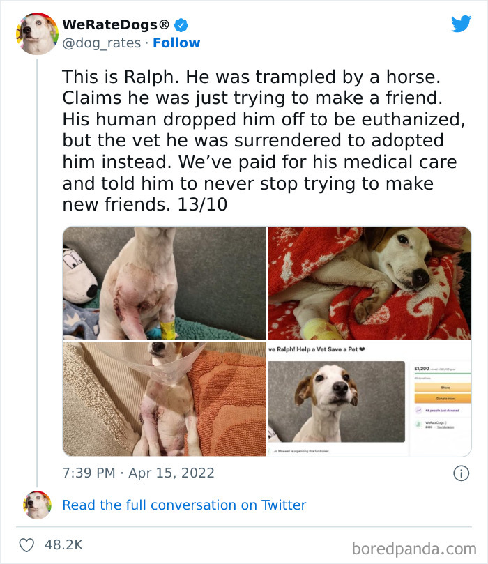 Funny-Dog-Rates-Twitter
