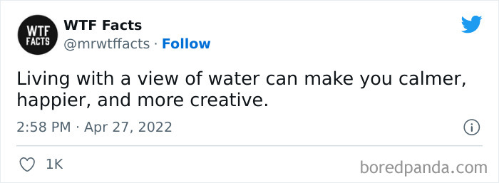 Daily-Weird-Interesting-History-Facts