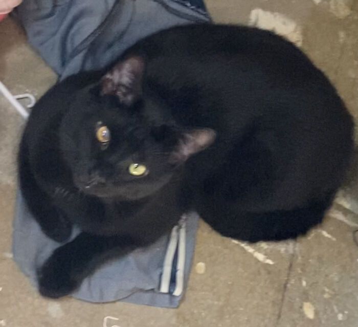 It Nigh Not Be Very Summery But Here Is My Void Chess Sitting In The Shade