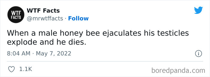 Daily-Weird-Interesting-History-Facts