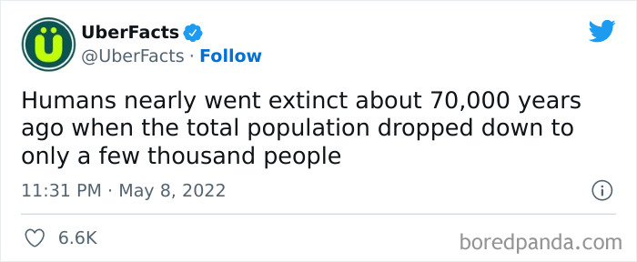 New-Interesting-Uber-Facts