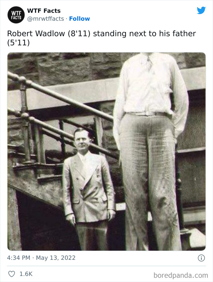 Daily-Weird-Interesting-History-Facts