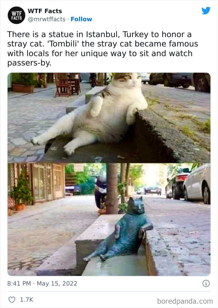 Daily-Weird-Interesting-History-Facts