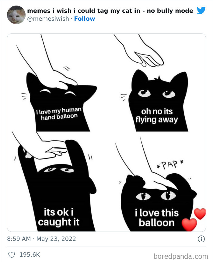 Funny-Relatable-Cat-Memes-Tweets