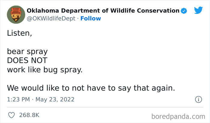 I Desperately Want The Backstory Behind This