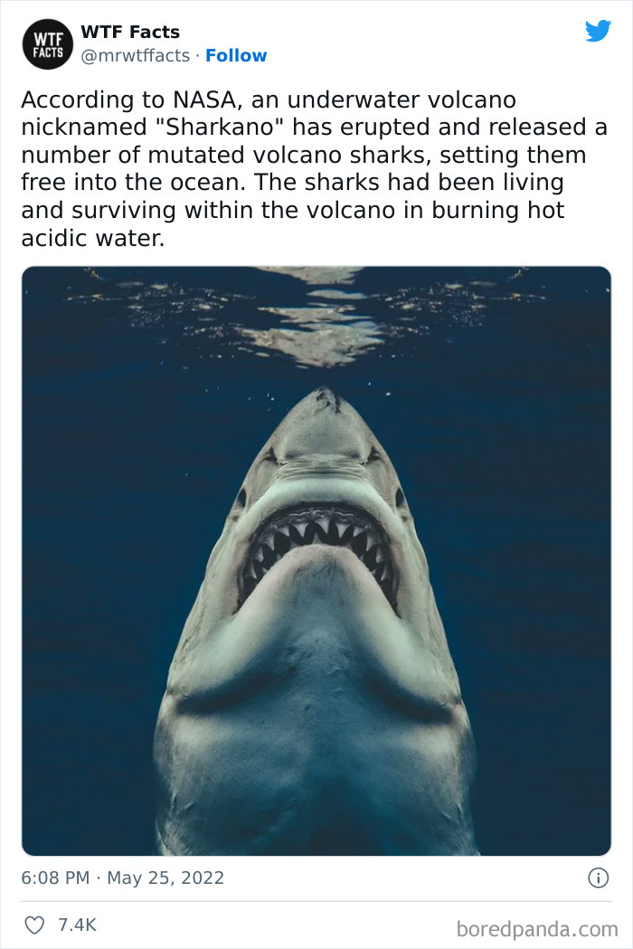 Daily-Weird-Interesting-History-Facts