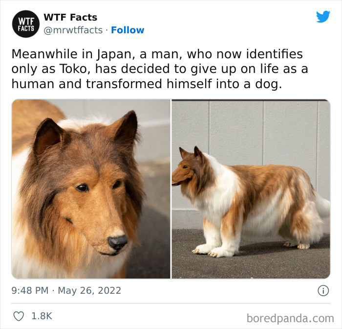 Daily-Weird-Interesting-History-Facts