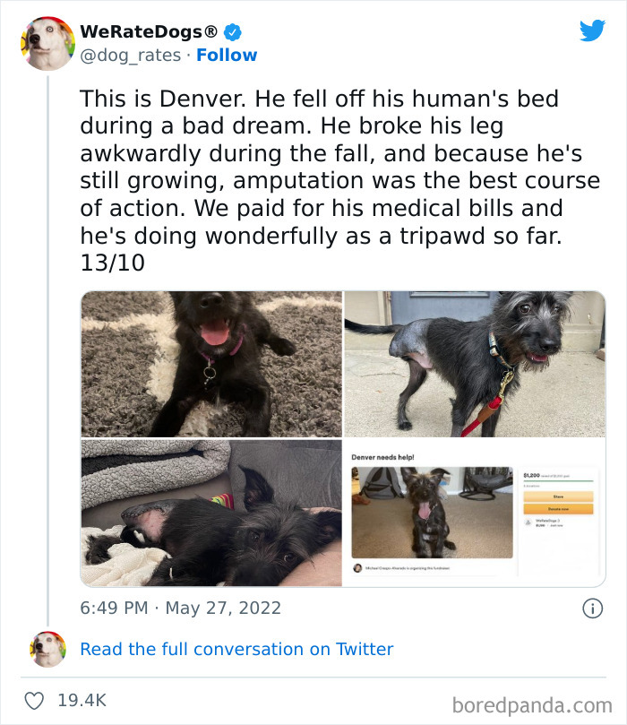 Funny-Dog-Rates-Twitter