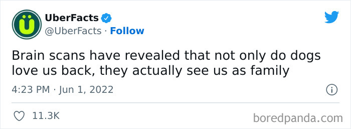 New-Interesting-Uber-Facts