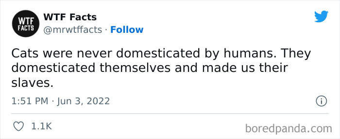 Daily-Weird-Interesting-History-Facts