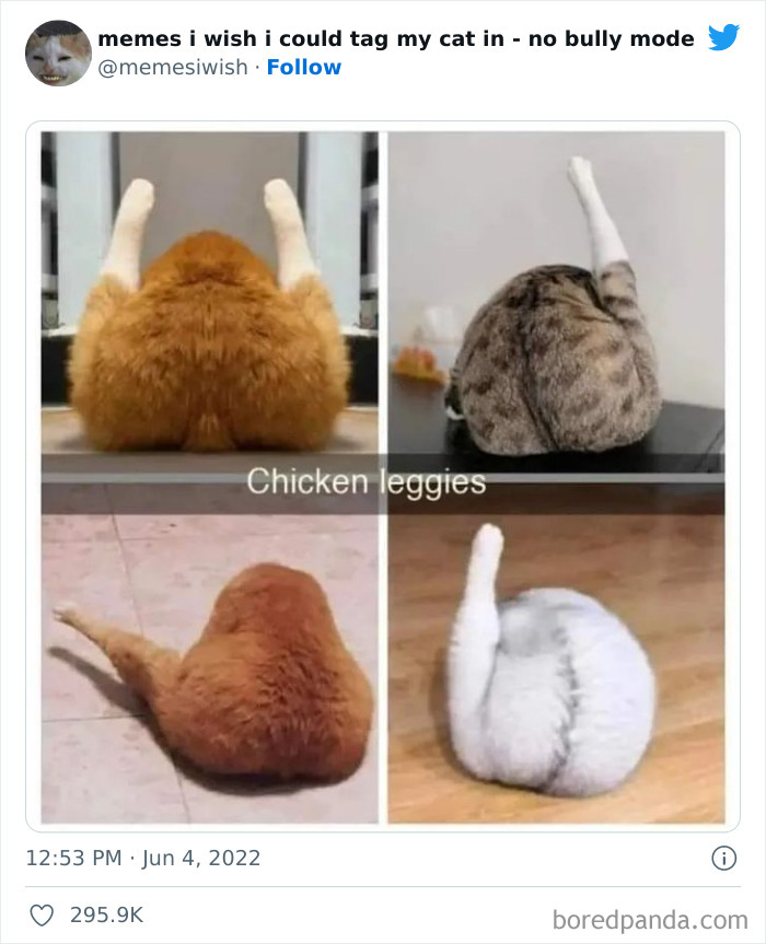 Funny-Relatable-Cat-Memes-Tweets