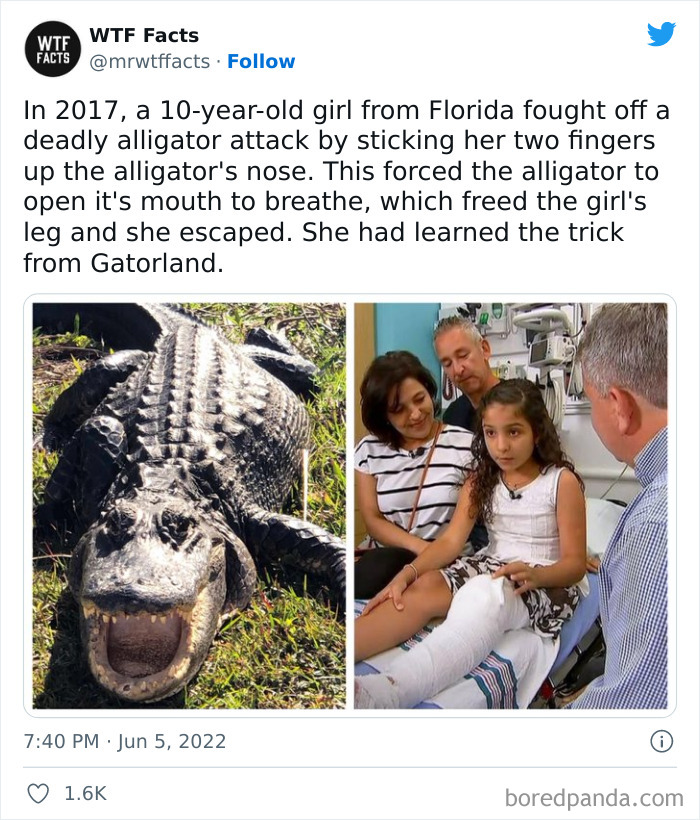 Daily-Weird-Interesting-History-Facts