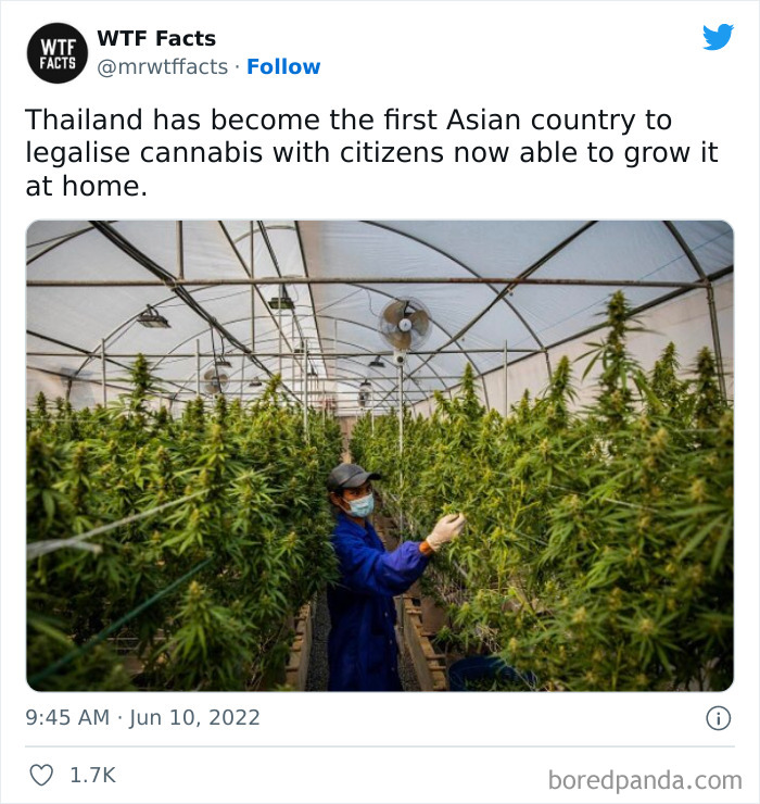 Daily-Weird-Interesting-History-Facts