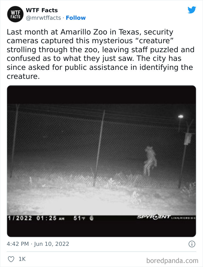 Daily-Weird-Interesting-History-Facts