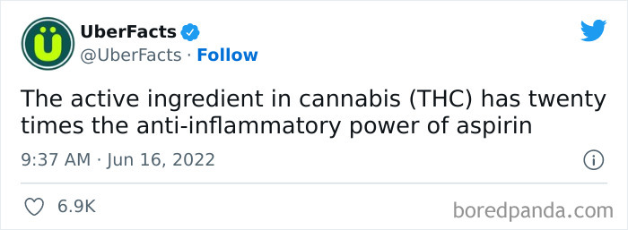 New-Interesting-Uber-Facts