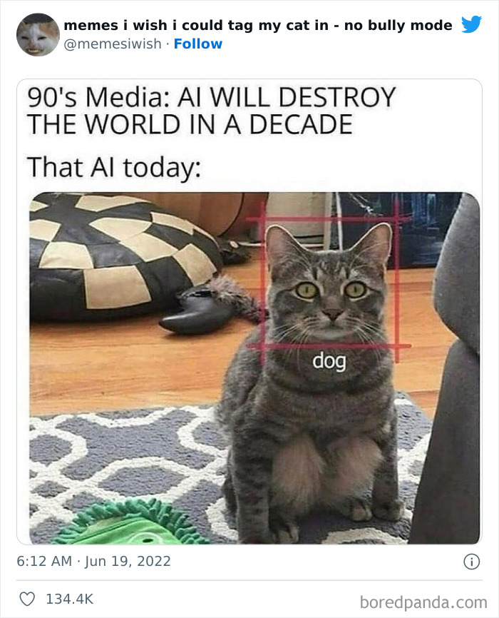 Funny-Relatable-Cat-Memes-Tweets