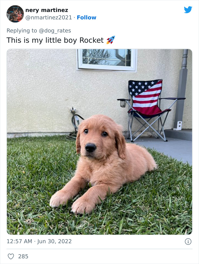 Guide-Pup-In-Training Falls Asleep During Important Photoshoot, And 11M People Can&rsquo;t Handle The Cuteness